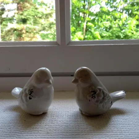 Domaine Du Haul Bed & Breakfast Catteville