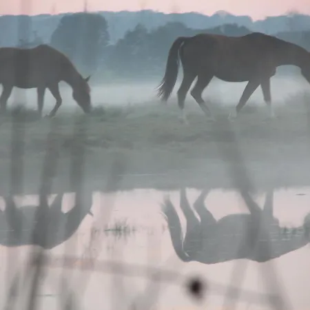 Domaine Du Haul 3* Catteville