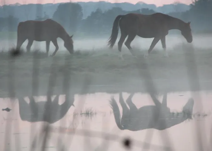 Domaine Du Haul 3* Catteville